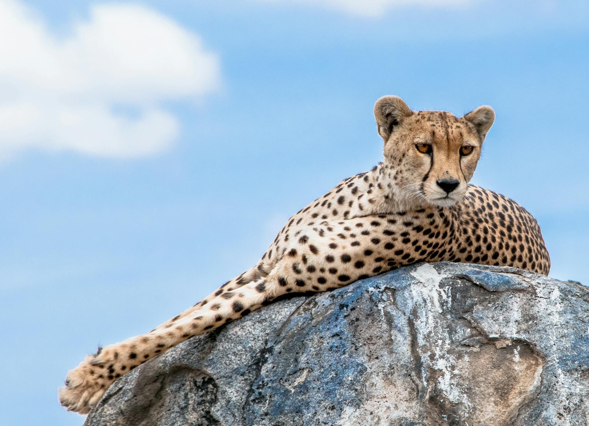 一群年轻人在手机前，代表社交媒体用户群体