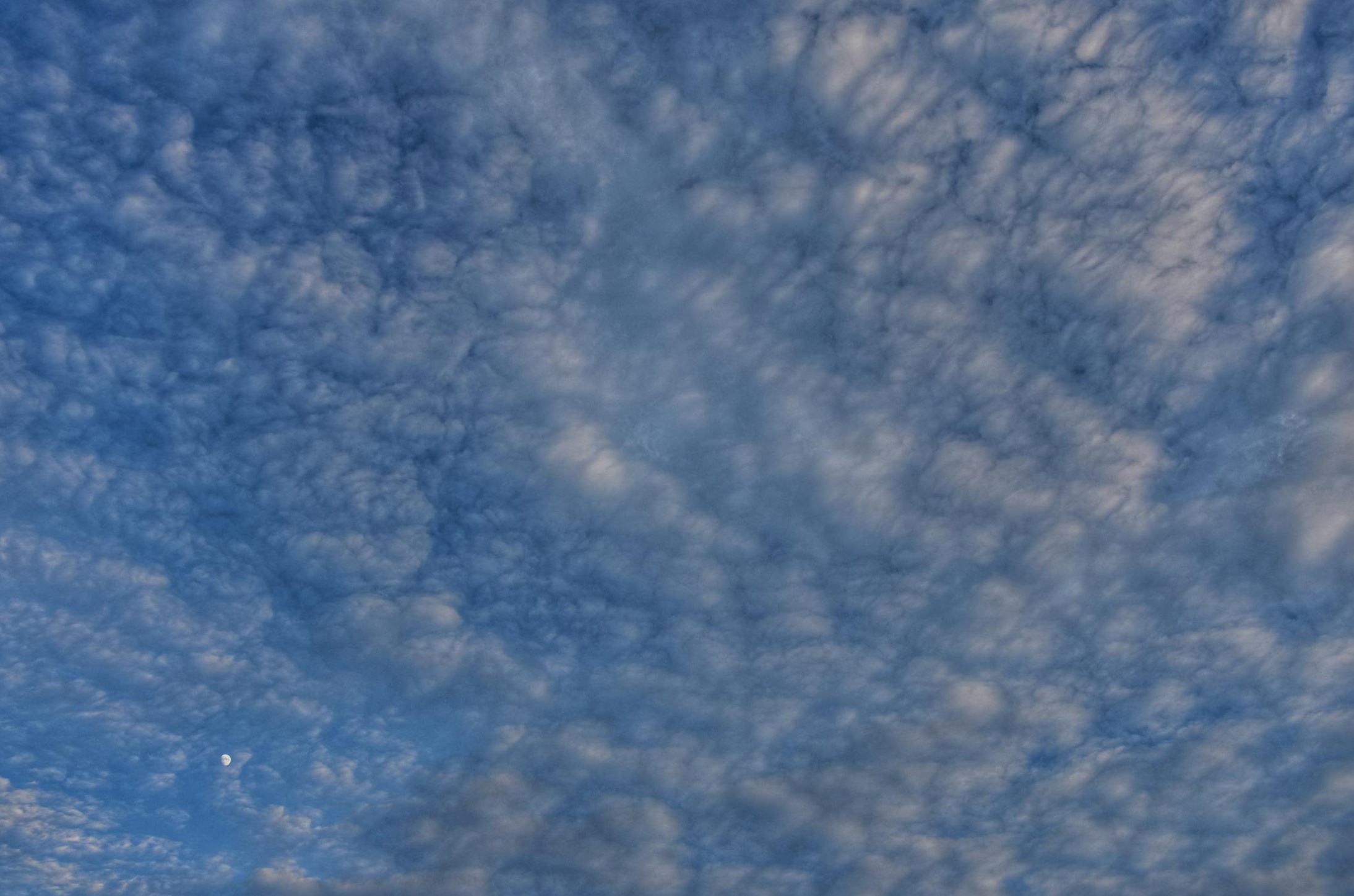 笔记本电脑屏幕显示复杂的仪表板和数据分析，象征数字营销洞察