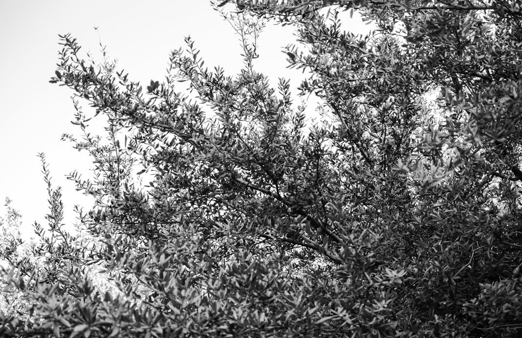 Instagram手机界面，显示大量用户互动和评论通知