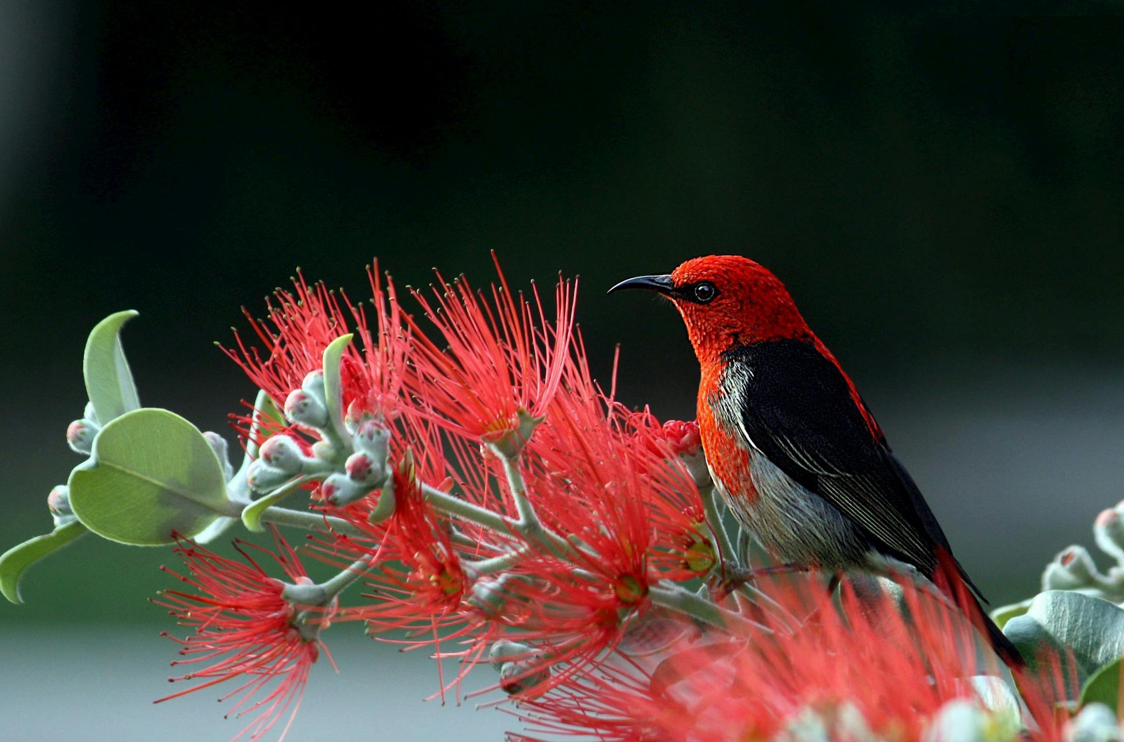 两位创作者面对面协作，背景是数字屏幕