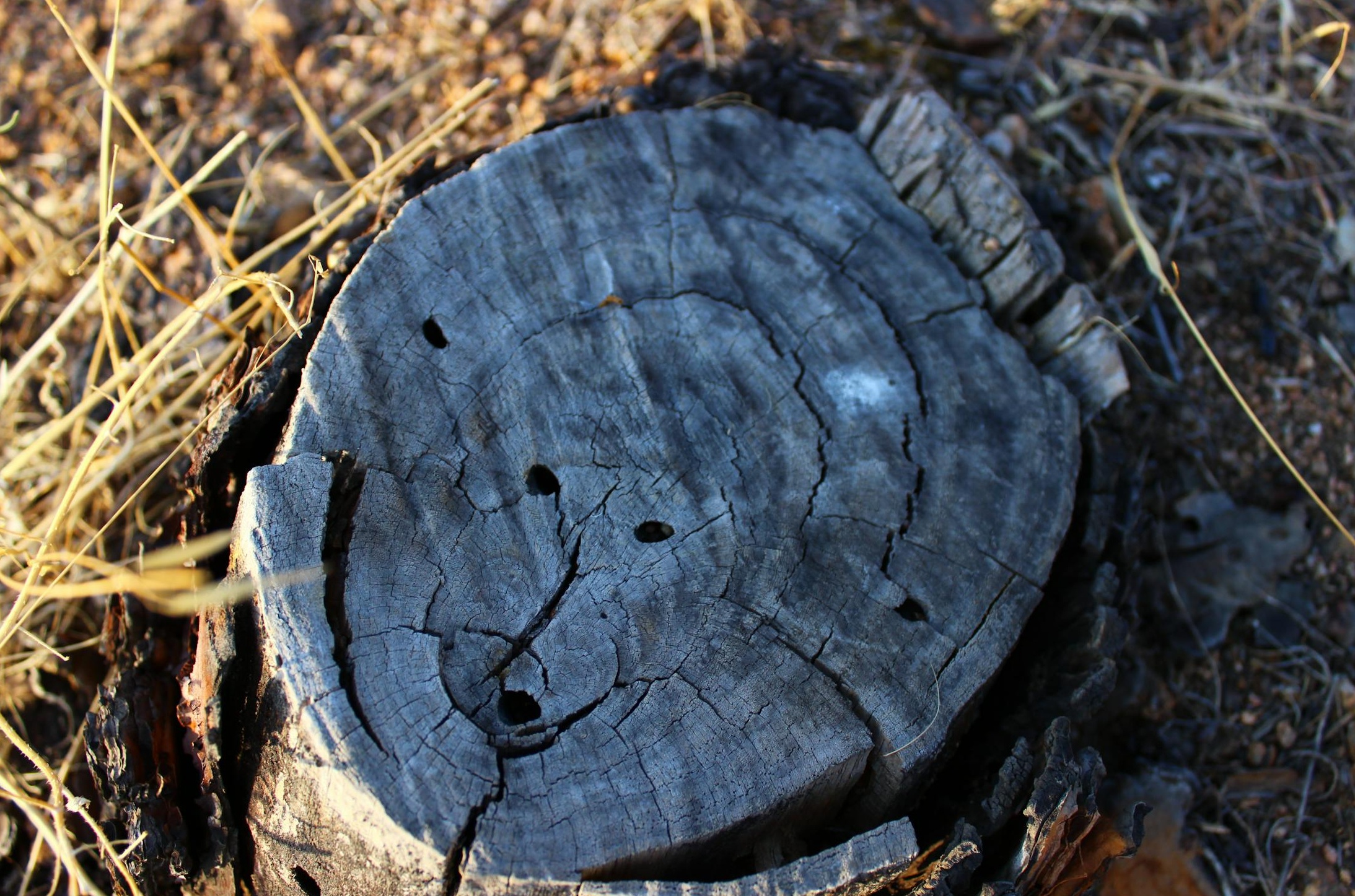 未来的智能手机和大数据