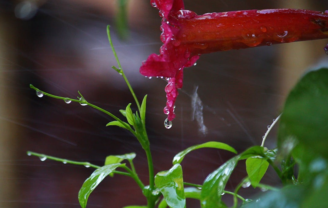 手机屏幕上展示各种社交媒体图标，象征多平台推广Discord服务器，助力成员增长