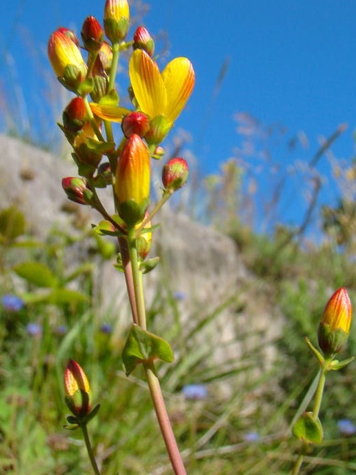 写满计划和活动的白板，代表着Discord社区定期组织活动的策略，助力增加Discord在线人数和成员增长