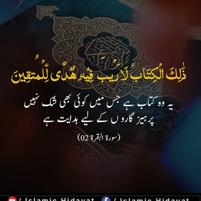 Active Facebook group discussing shared interests.