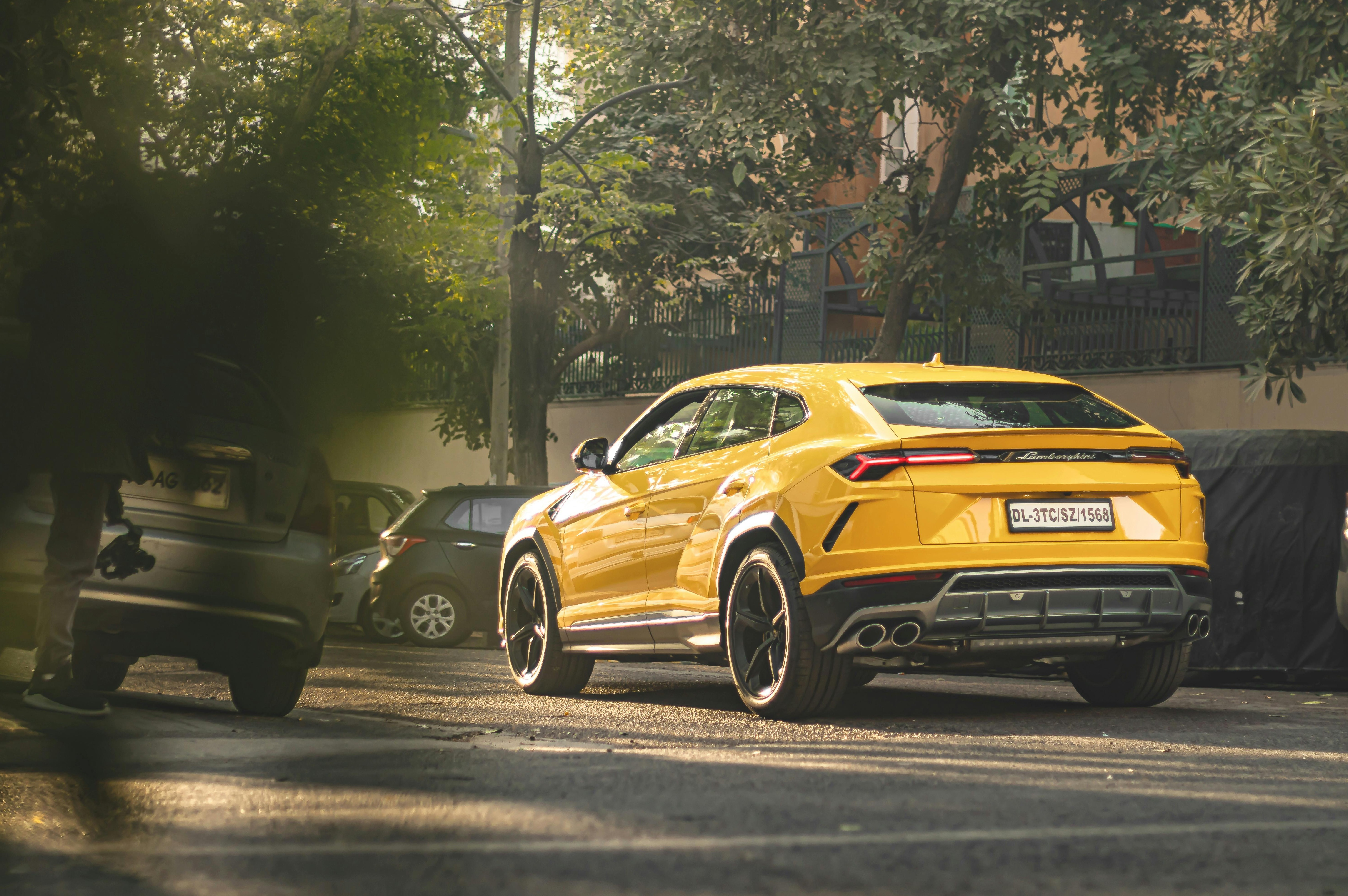 表示社交媒体增长的图表