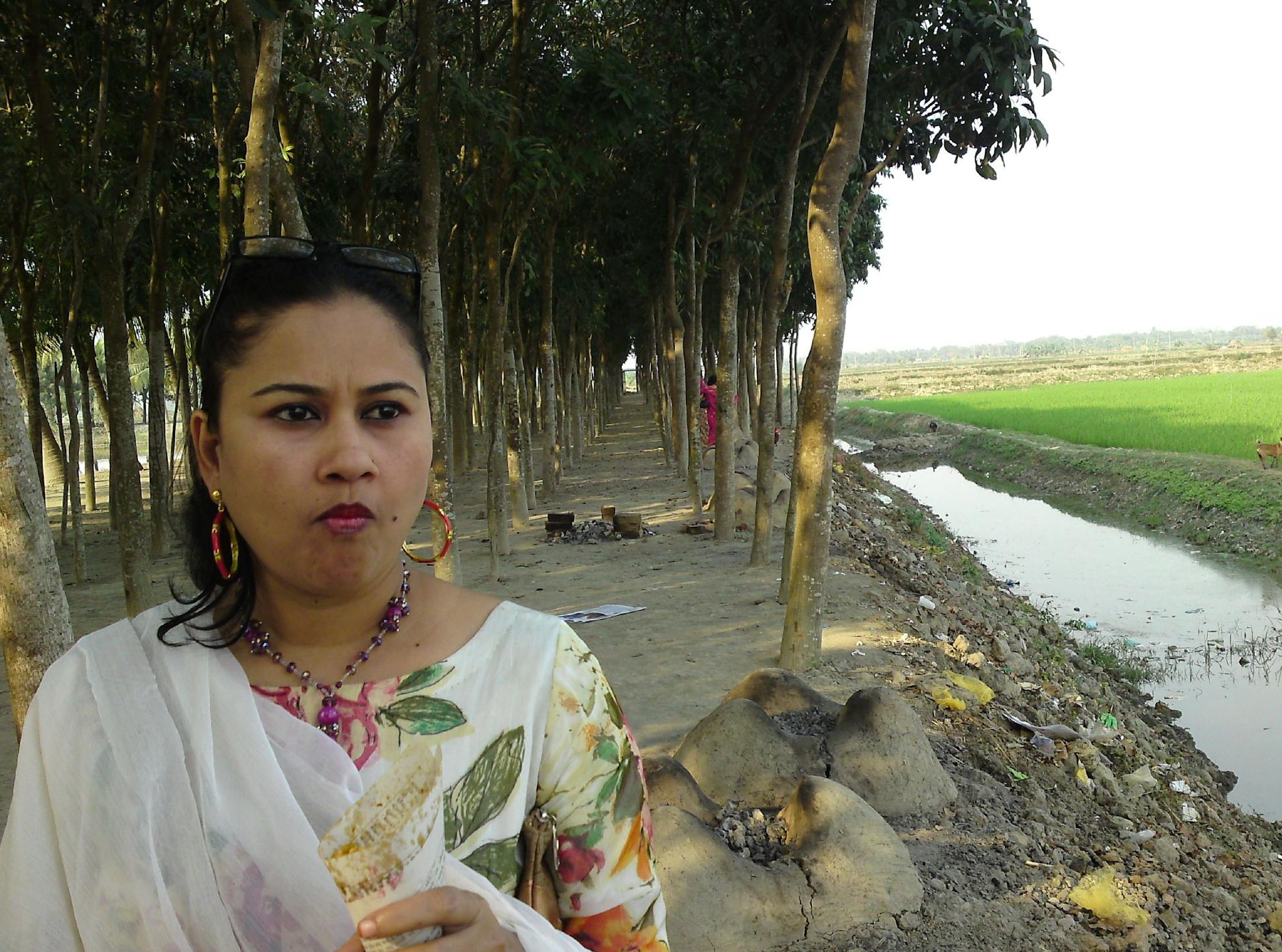 YouTube创作者分析数据面板