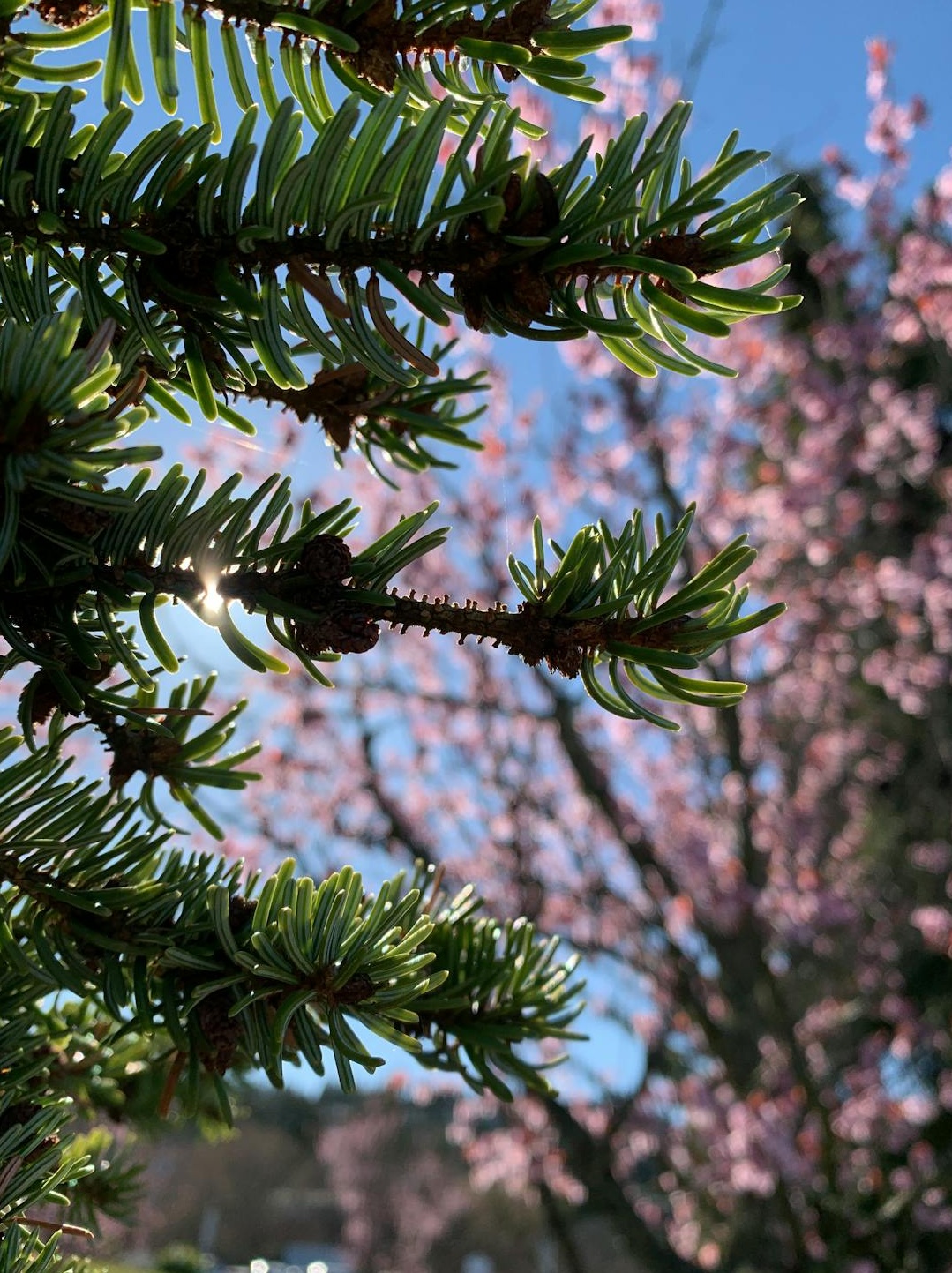 活跃的社交媒体互动场景