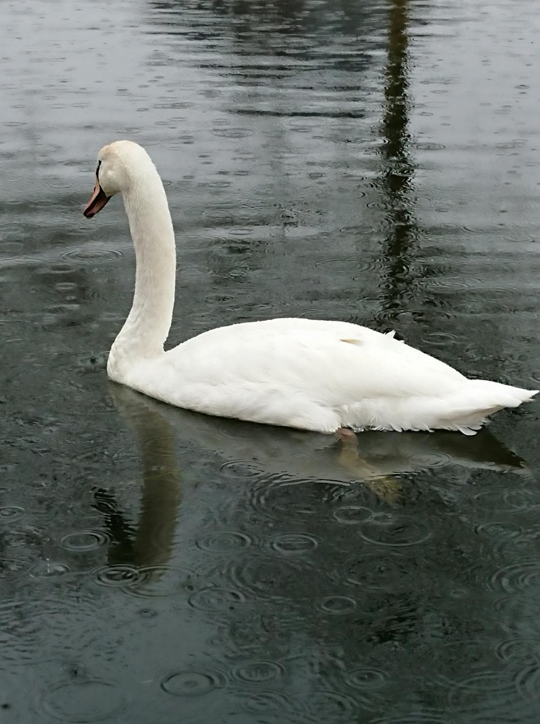 代表线上社群和真实用户交流的图像