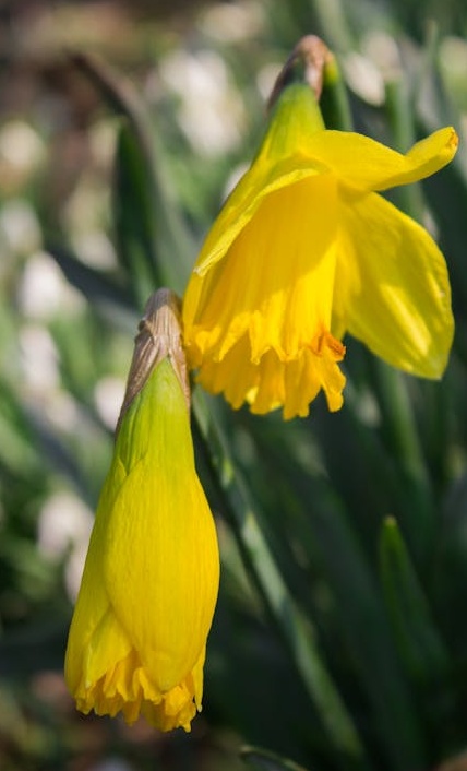 Twitter增长分析：如何衡量转推对内容传播的影响