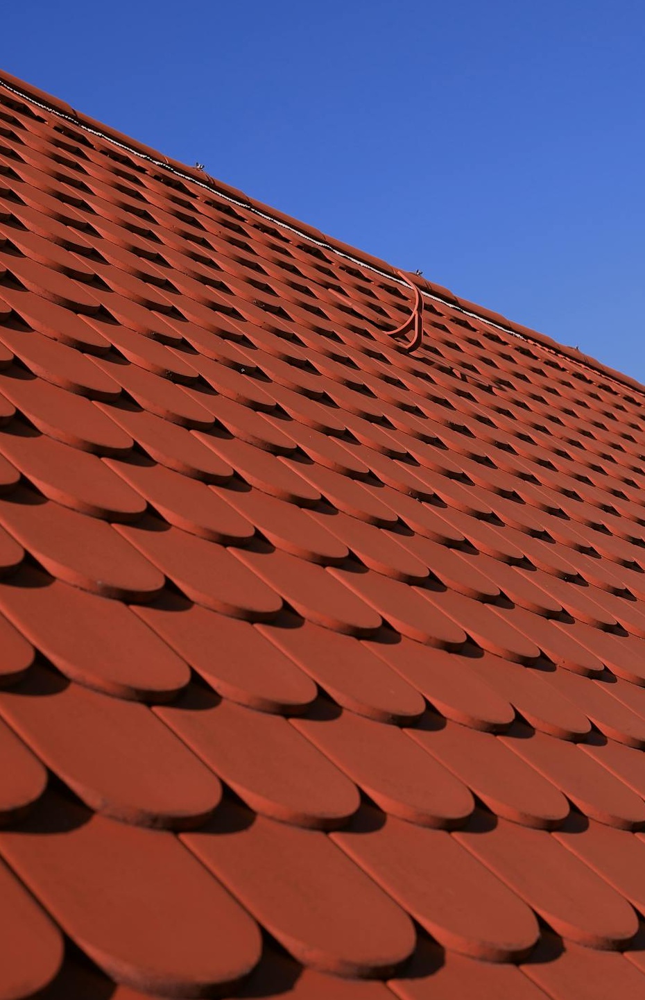 两人正在讨论笔记本电脑上的直播内容策略