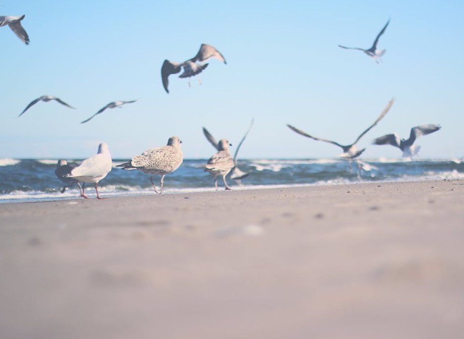 一位用户手持手机正在流畅观看视频,暗示无广告的YouTube Premium体验