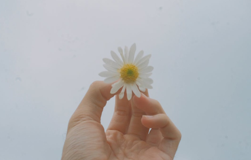 一家人舒适地坐在沙发上通过大屏幕电视观看YouTube内容,体验高清无扰的家庭娱乐