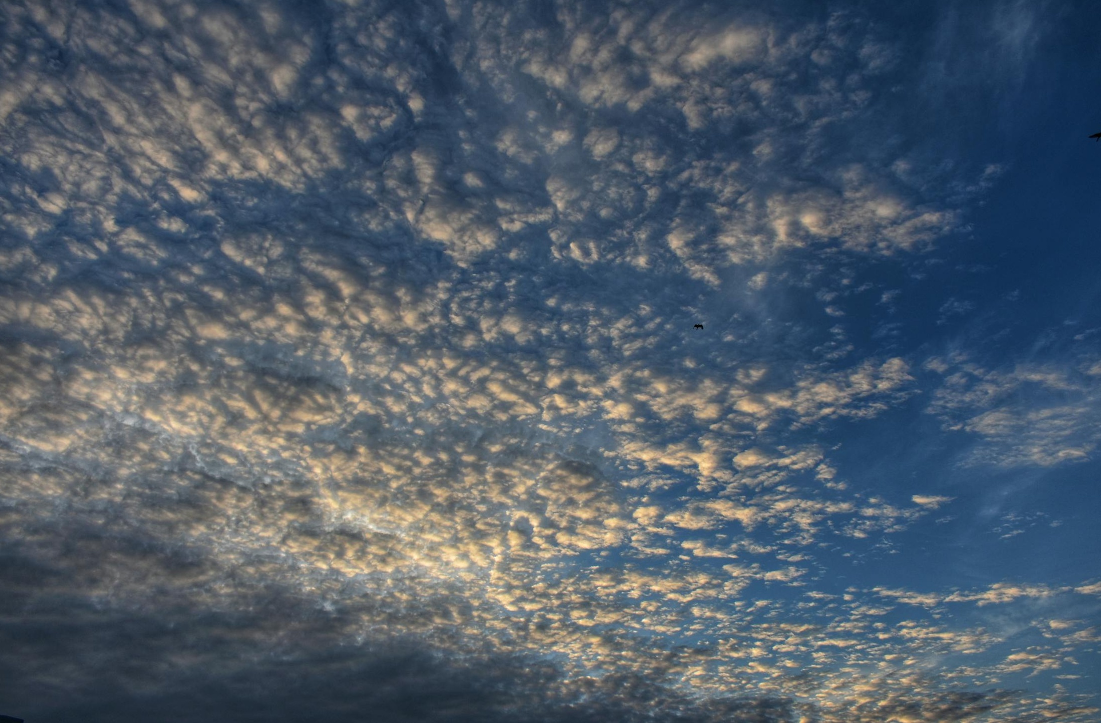 多人围坐讨论,象征社群互动、信任建立与社交证明的力量