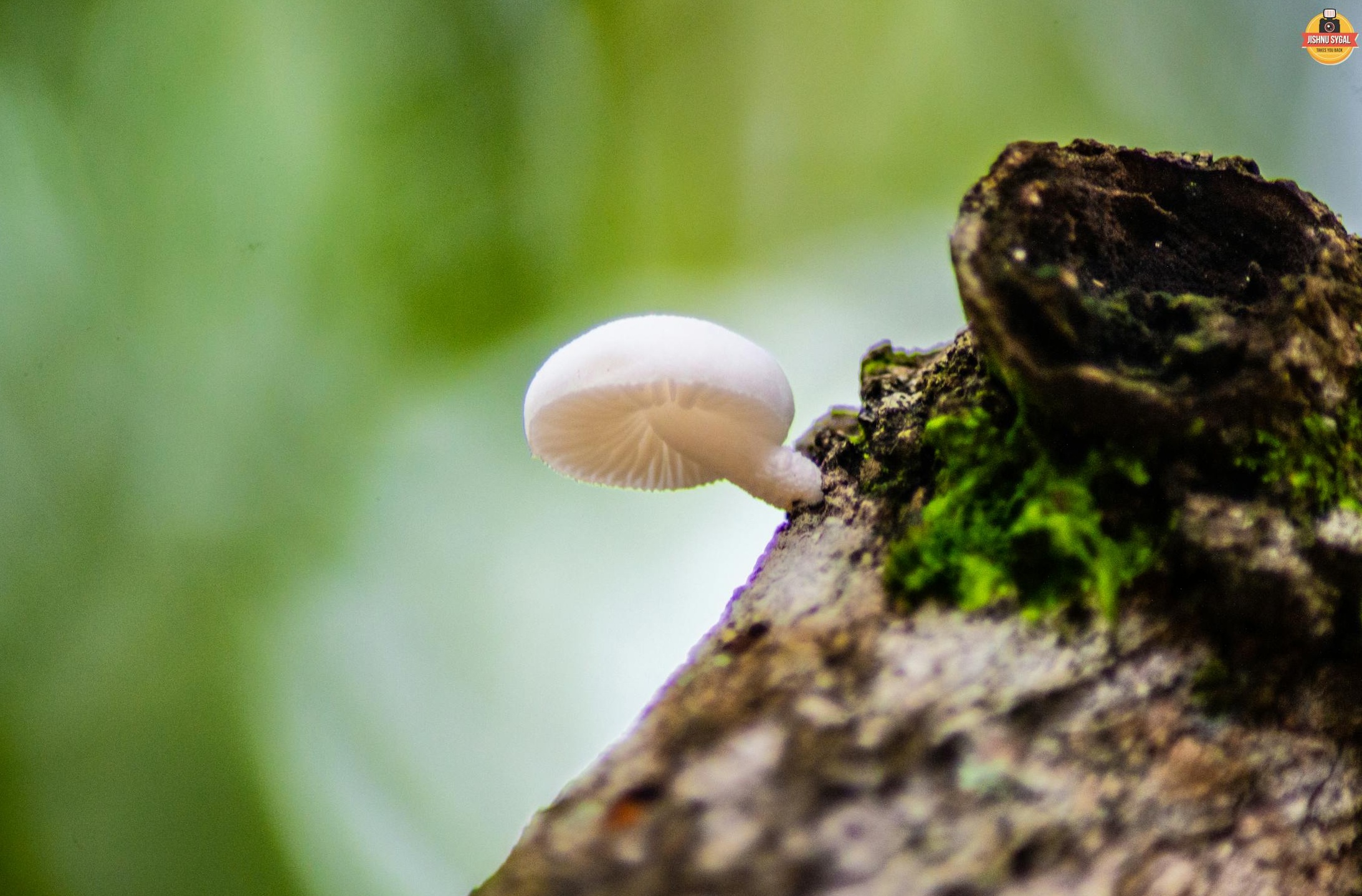 一群人专注地看着手机，代表着社交媒体的广泛触达