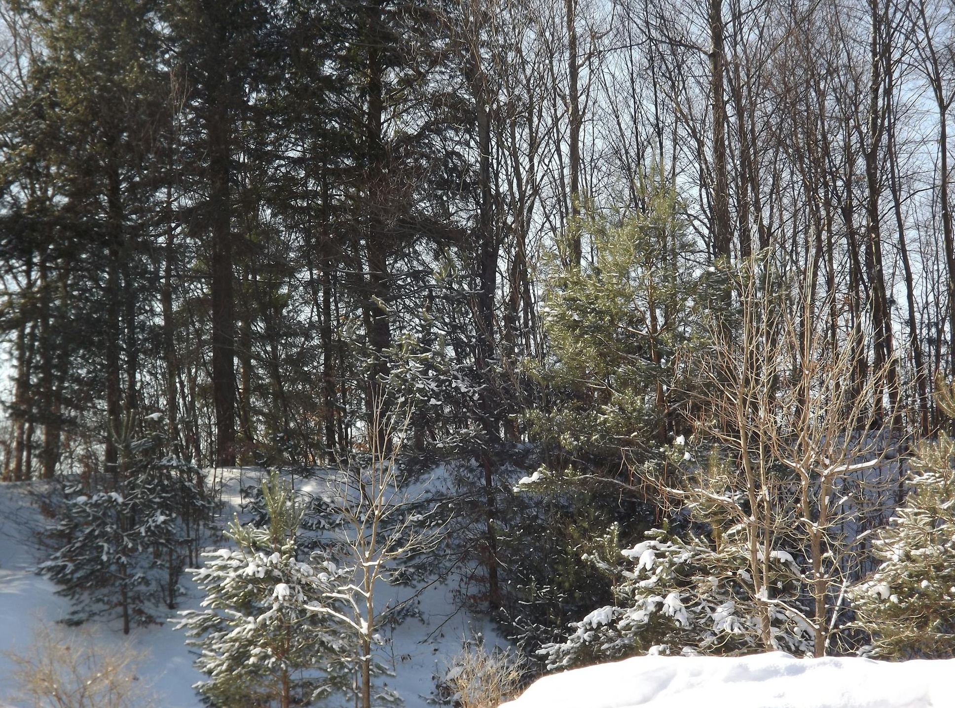 一个世界地图上交织着光点和线条，象征着全球范围内的数字连接与精准覆盖