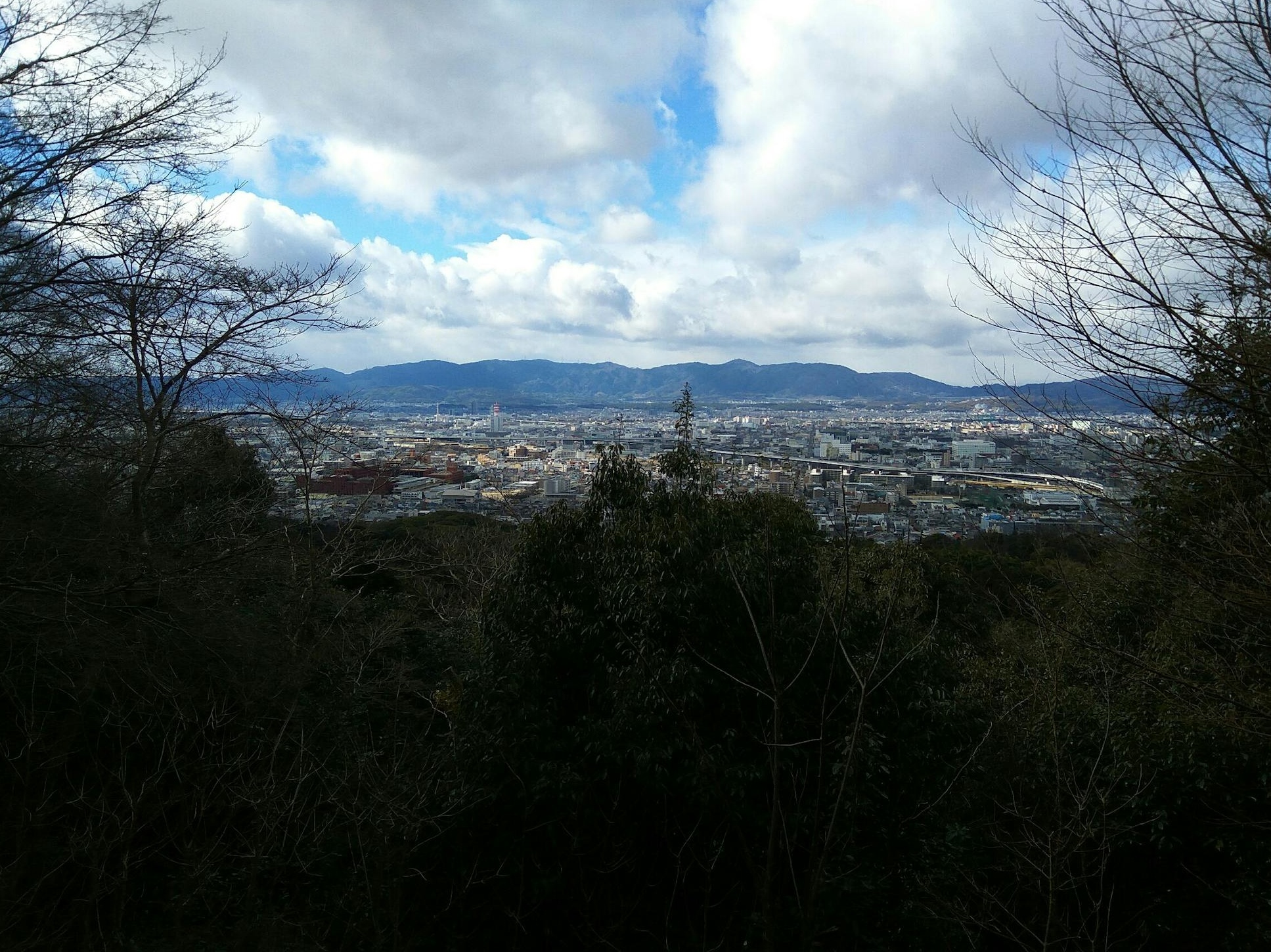 用户在移动设备上观看TikTok短视频