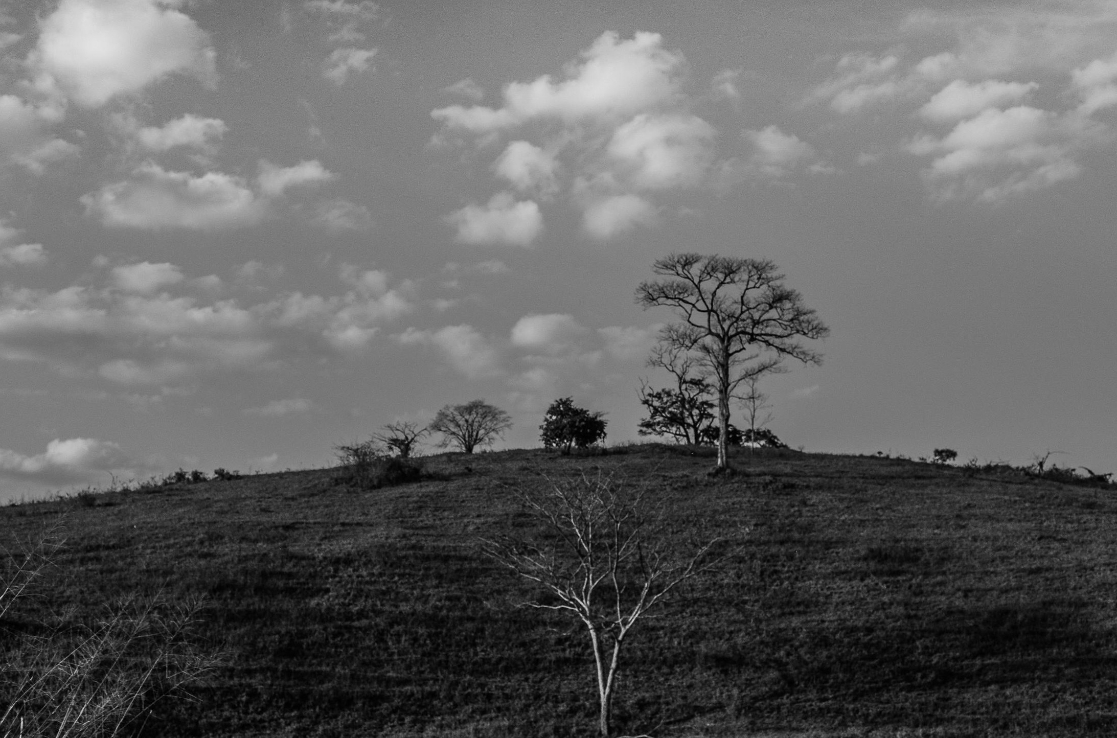 YouTube数据分析界面