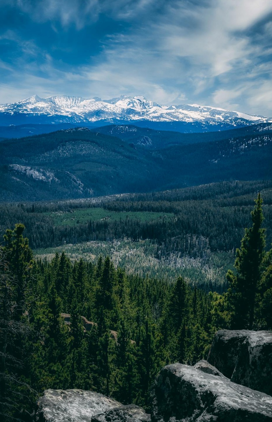 社交媒体网络与影响力象征