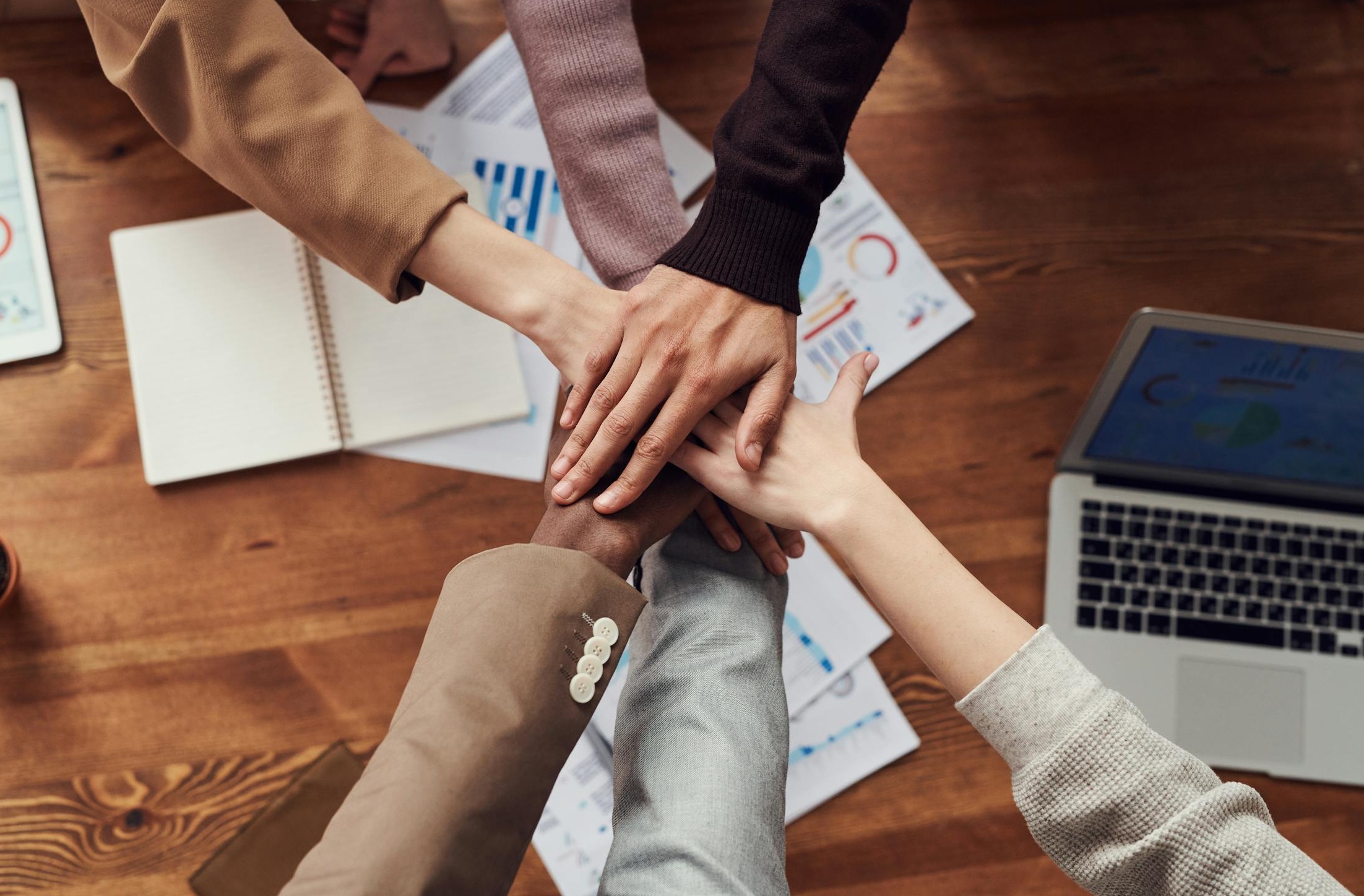 两只手紧握在一起，象征信任与合作