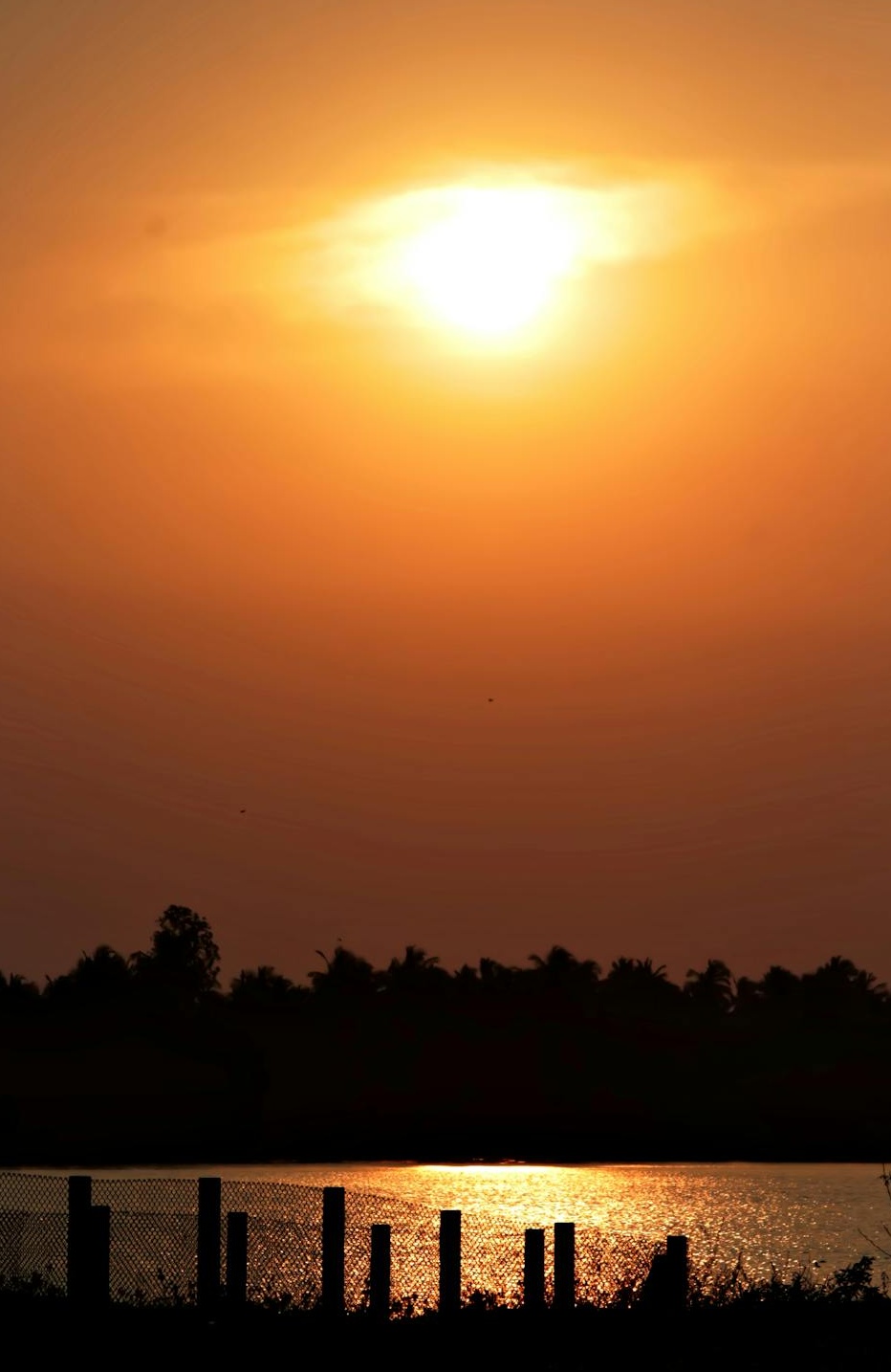 一个团队在会议室中讨论社交媒体营销数据，墙上挂着增长曲线图