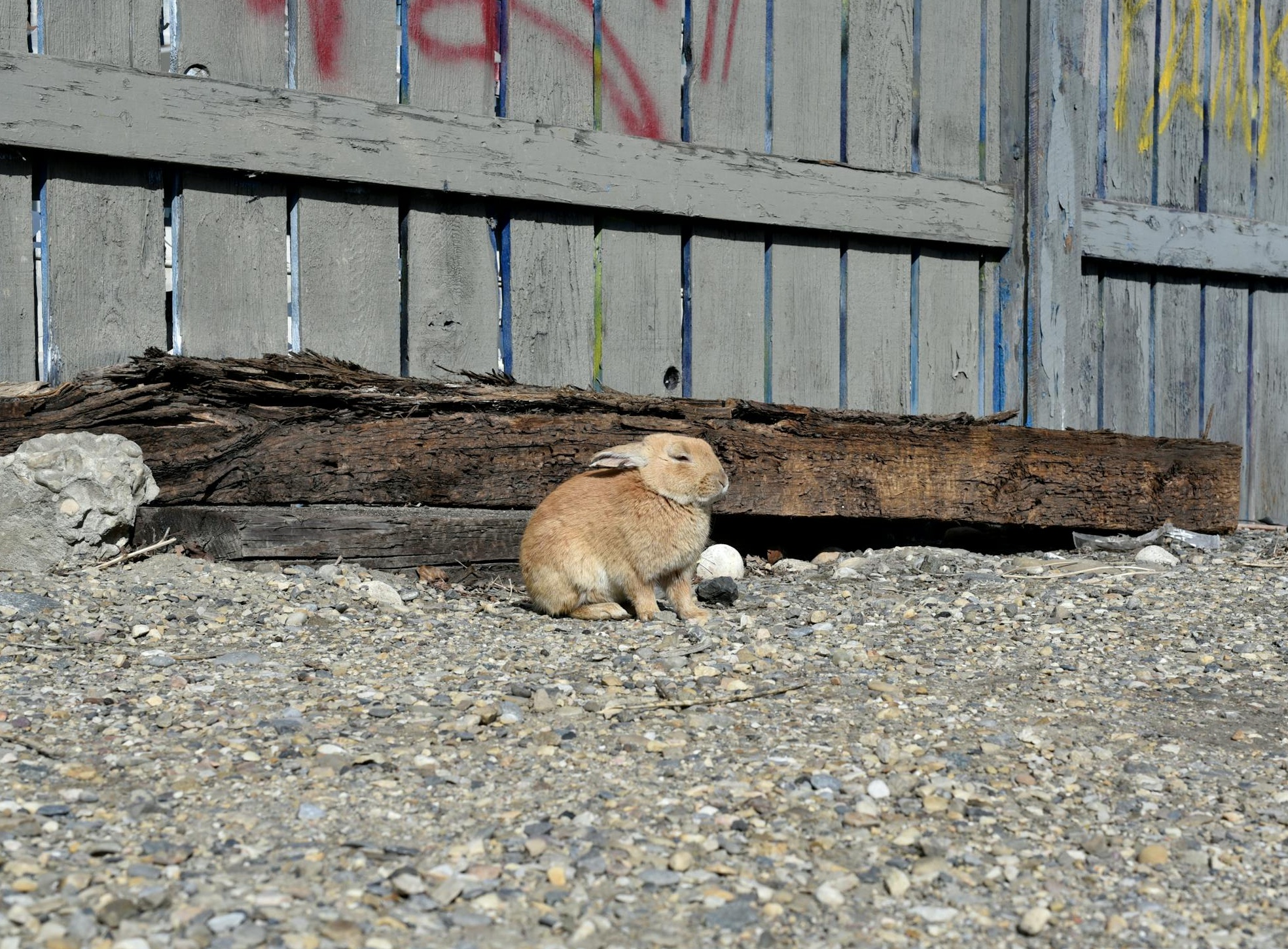 一个抽象的、充满科技感的背景，代表AI和数字技术